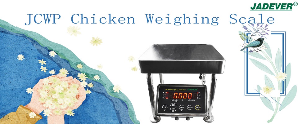 Báscula electrónica de peso para pollo con indicador de pesaje LED grande