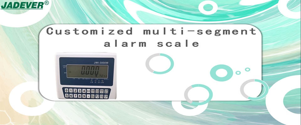 Báscula de alarma multisegmento personalizada