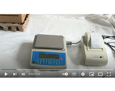 jadever SKY-C contando la etiqueta de impresión de saldo con impresora NLP